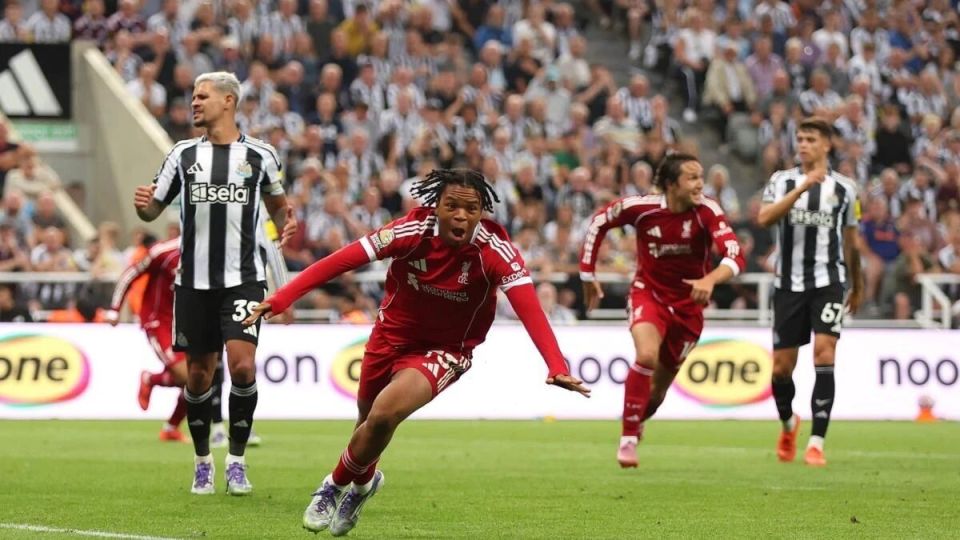 哈在利物浦, 不必在路易 哈在利物浦, 不必在路易