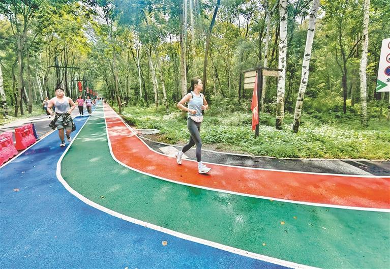 entit, 东北林业大, 力量训练 entit, 东北林业大, 力量训练