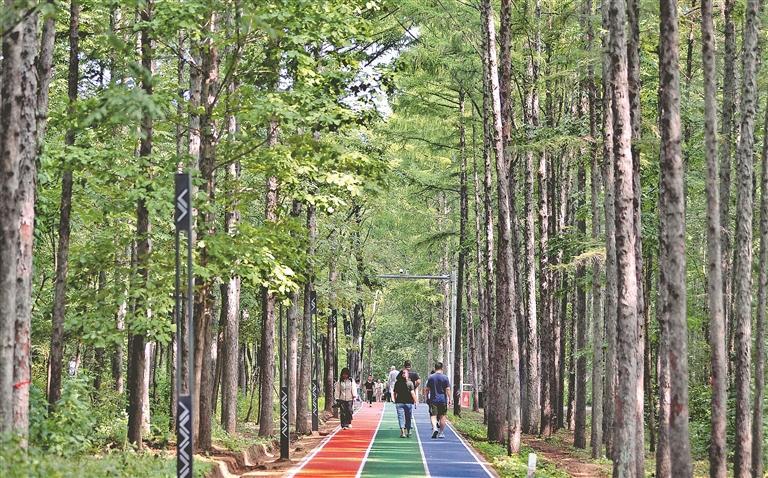 生态跑道上 生态跑道上