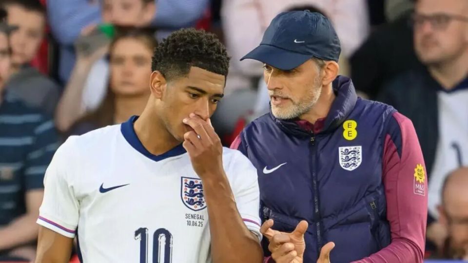 AoVWm, bt, img AoVWm, bt, img